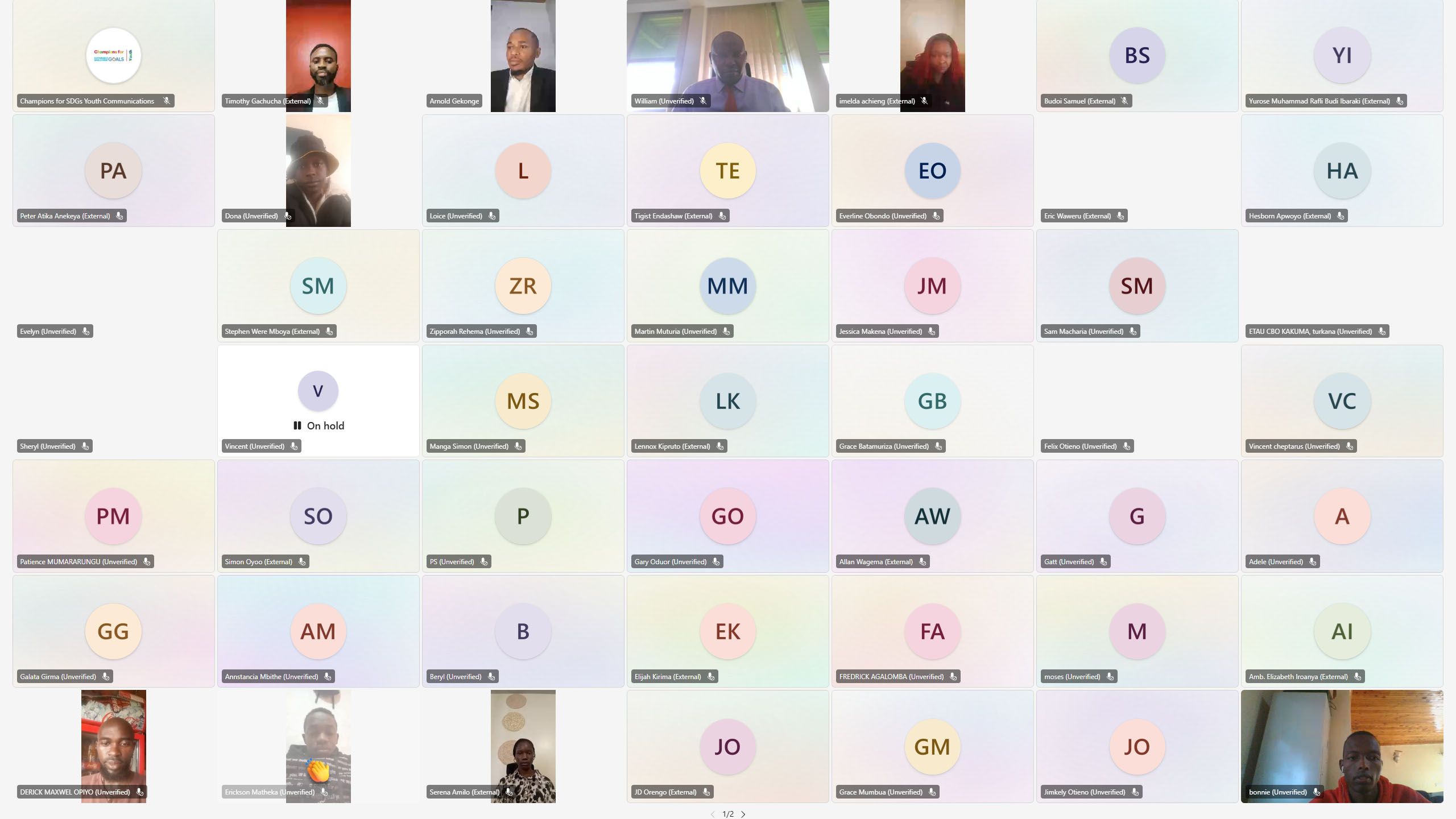 Highlights of the Youth Localizing the Pact for the Future (Part 1) Webinar